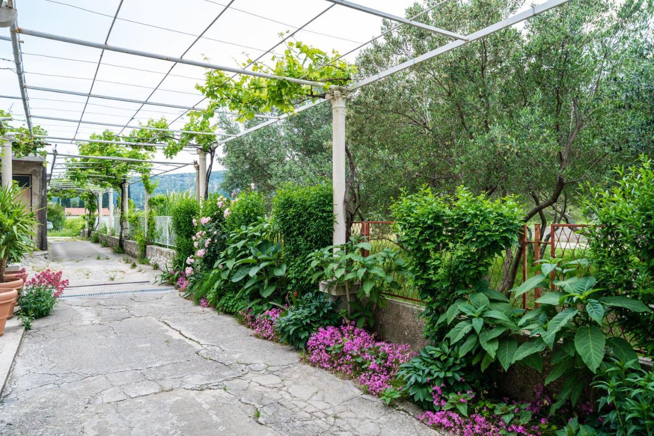 Francesca Guesthouse Mlini Εξωτερικό φωτογραφία